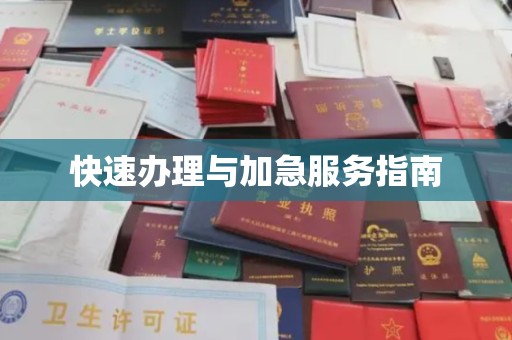 兴县快速办理与加急服务指南