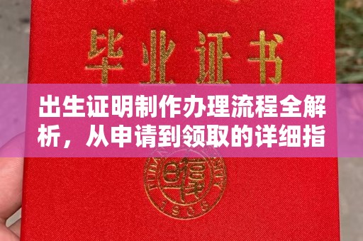 兴县出生证明制作办理流程全解析，从申请到领取的详细指南